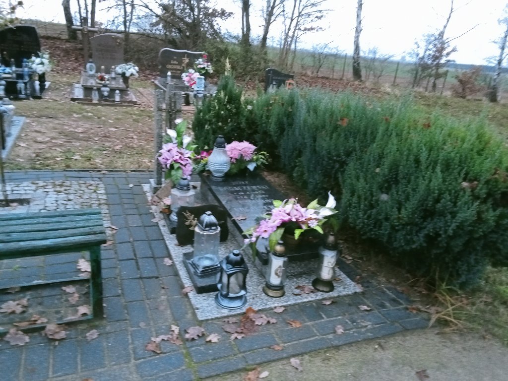 Grób Józef Rogaczewski